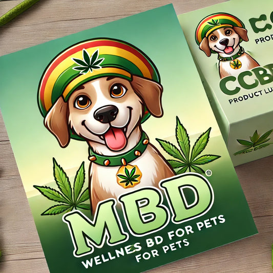 Le CBD pour les Animaux : Un Guide Complet