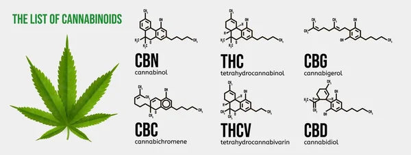 CBD, différentes molécules, fleurs, résines, infusion, thé, pré roll