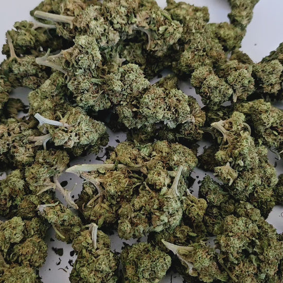 Prépare toi à une explosion de saveurs avec la fleur de CBD Cherry Limonade! Son profil aromatique unique mêle cerise juteuse et notes acidulées de citron, pour un goût aussi surprenant que rafraîchissant.