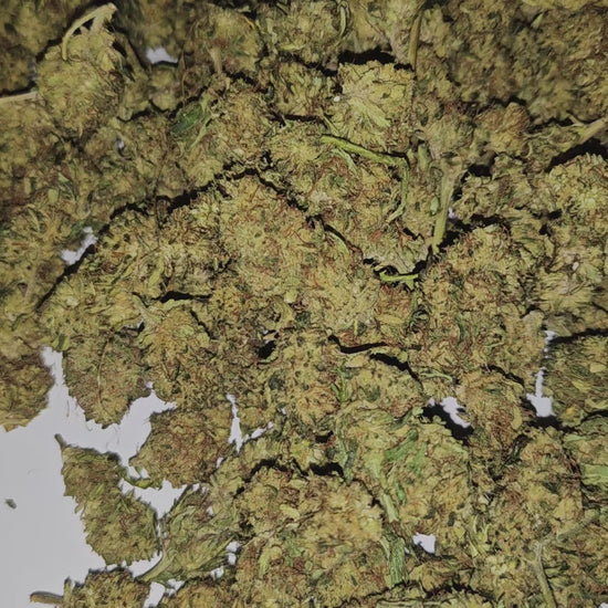 La Super Lemon Haze (intense) séduit par son parfum citronné puissant et son profil riche en cannabinoïdes. Son effet est stimulant et marqué, idéal pour ceux qui recherchent une expérience énergisante et prononcée.