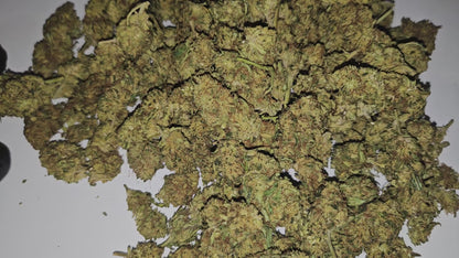 La Super Lemon Haze (intense) séduit par son parfum citronné puissant et son profil riche en cannabinoïdes. Son effet est stimulant et marqué, idéal pour ceux qui recherchent une expérience énergisante et prononcée.