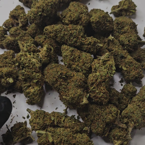 La Sour Silver est une fleur de CBD au profil vif et puissant, reconnue pour ses arômes intenses et acidulés, associant des notes citronnées, légèrement herbacées et épicées. Son caractère bien affirmé et sa fraîcheur aromatique offrent une expérience dynamique, très appréciée par les amateurs de fleurs expressives.