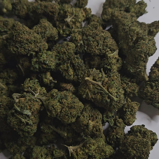 La Bubble Gum CBD est une fleur aux arômes doux et sucrés qui rappellent les bonbons de notre enfance, avec un goût rond et agréable en bouche. 