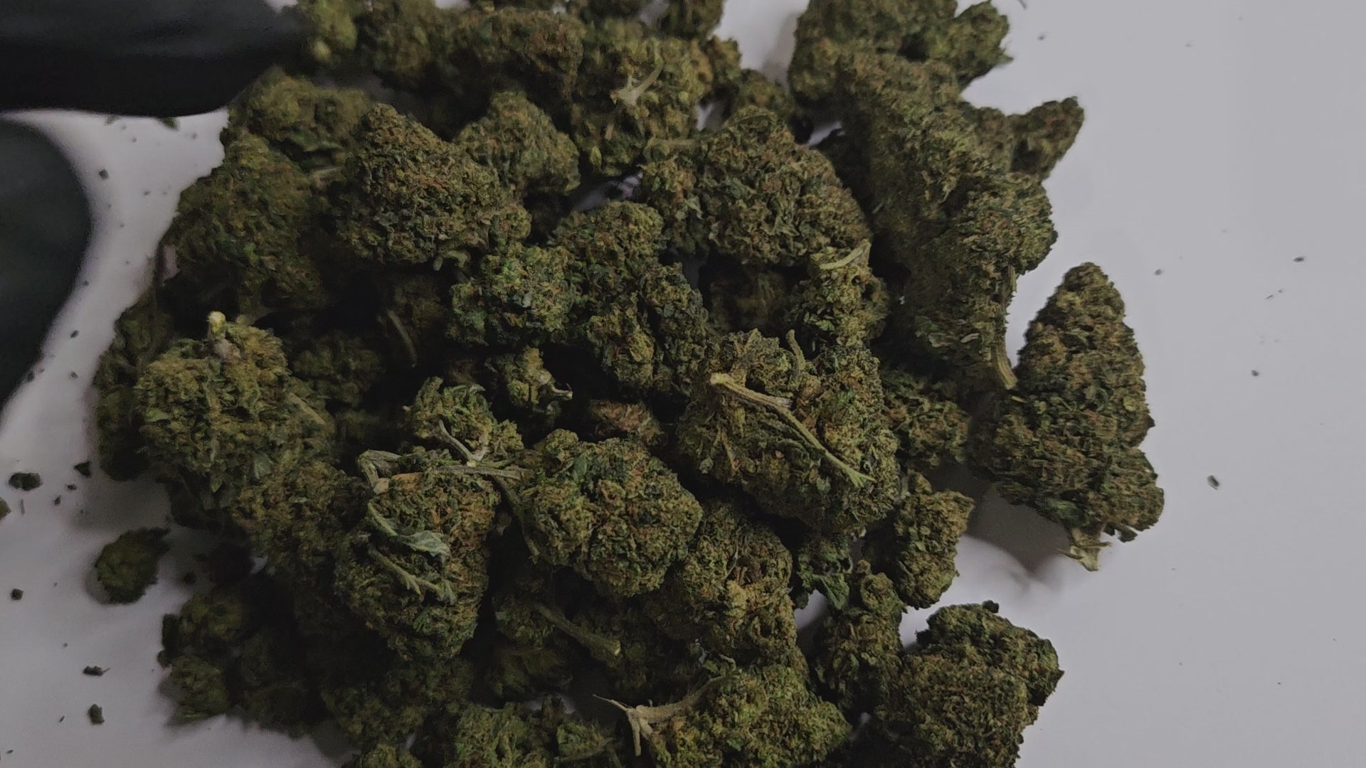 La Bubble Gum CBD est une fleur aux arômes doux et sucrés qui rappellent les bonbons de notre enfance, avec un goût rond et agréable en bouche. 