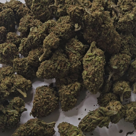 La Critical Berry est une fleur de CBD à l’arôme riche et gourmand, où dominent des notes fruitées de baies rouges sucrées, sublimées par une légère touche terreuse et épicée. Sa haute concentration en CBD procure une détente profonde et durable, idéale pour se relaxer après une journée chargée ou pour accompagner des moments de calme.