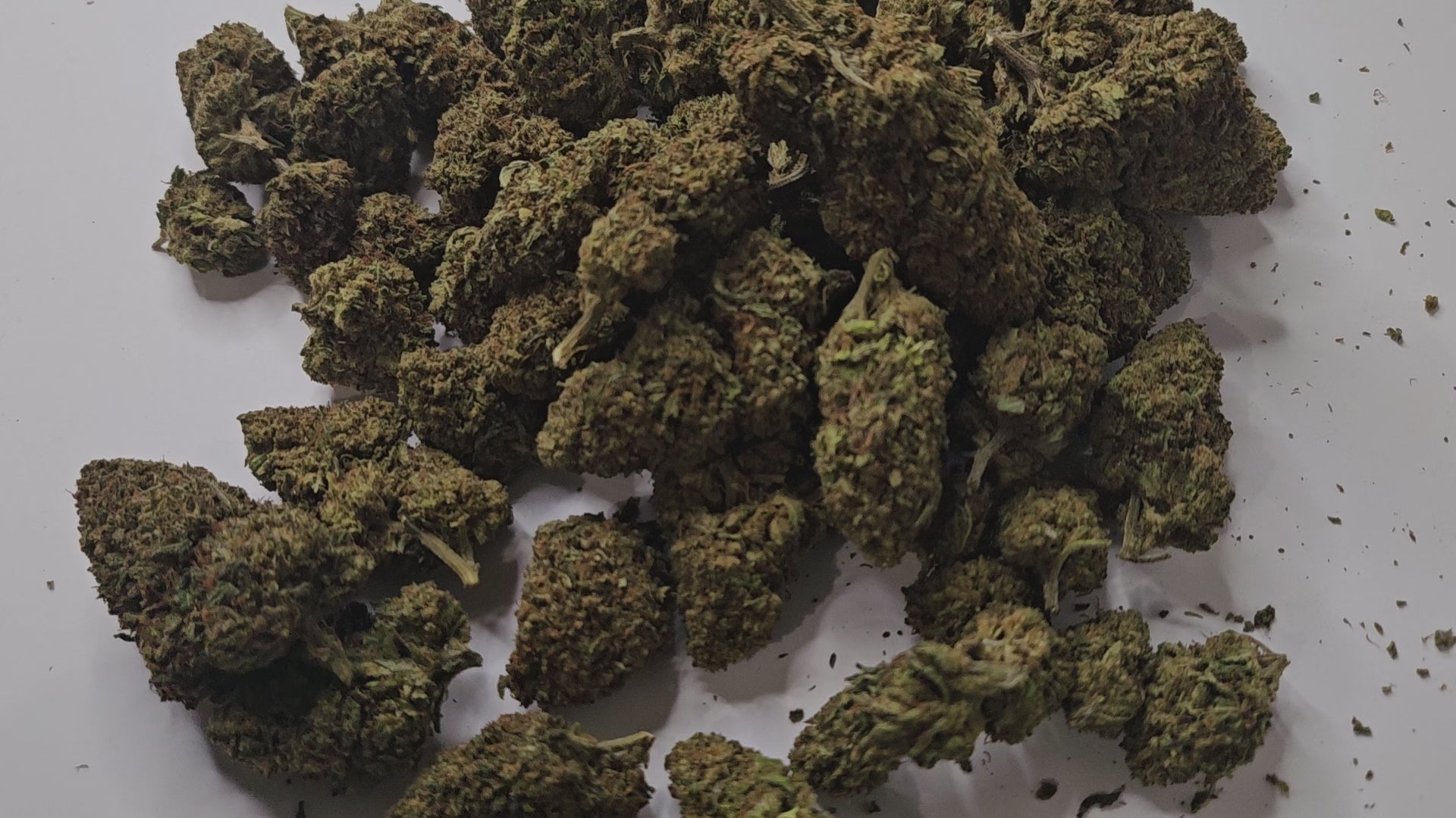 La Critical Berry est une fleur de CBD à l’arôme riche et gourmand, où dominent des notes fruitées de baies rouges sucrées, sublimées par une légère touche terreuse et épicée. Sa haute concentration en CBD procure une détente profonde et durable, idéale pour se relaxer après une journée chargée ou pour accompagner des moments de calme.