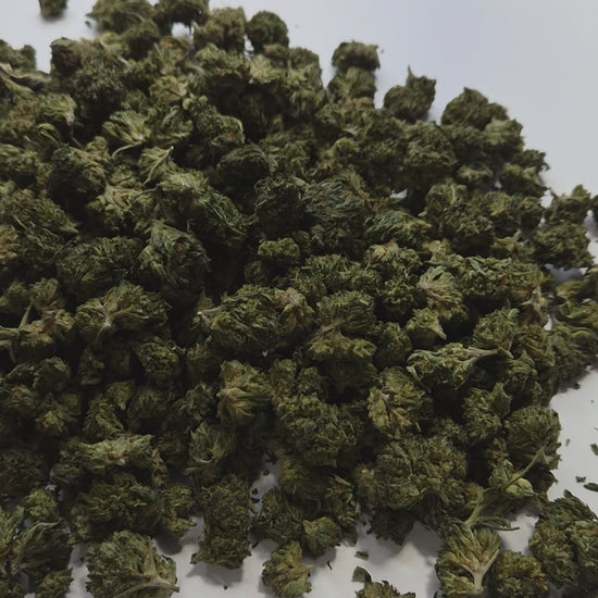 La Bubba Kush CBD Small Bud est une variété d'exception, taillée pour ceux qui savent exactement ce qu'ils recherchent. Avec son profil terpénique dense et ses arômes profonds, elle s'adresse à un palais averti, capable d'en apprécier toute la complexité.
