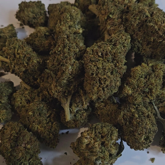 La Critical 2.0 est une fleur de CBD aux saveurs intenses, mêlant des notes terreuses et légèrement citronnées. Sa richesse en cannabinoïdes lui confère une puissance marquée, idéale pour les amateurs confirmés en quête d’une expérience forte et aromatique. 