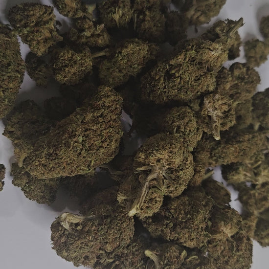 La Berry Haze est une fleur de CBD à l’arôme fruité et sucré, dominé par des notes de fruits rouges et de baies sauvages. Elle offre un effet équilibré et énergisant, idéal pour se détendre sans somnolence.