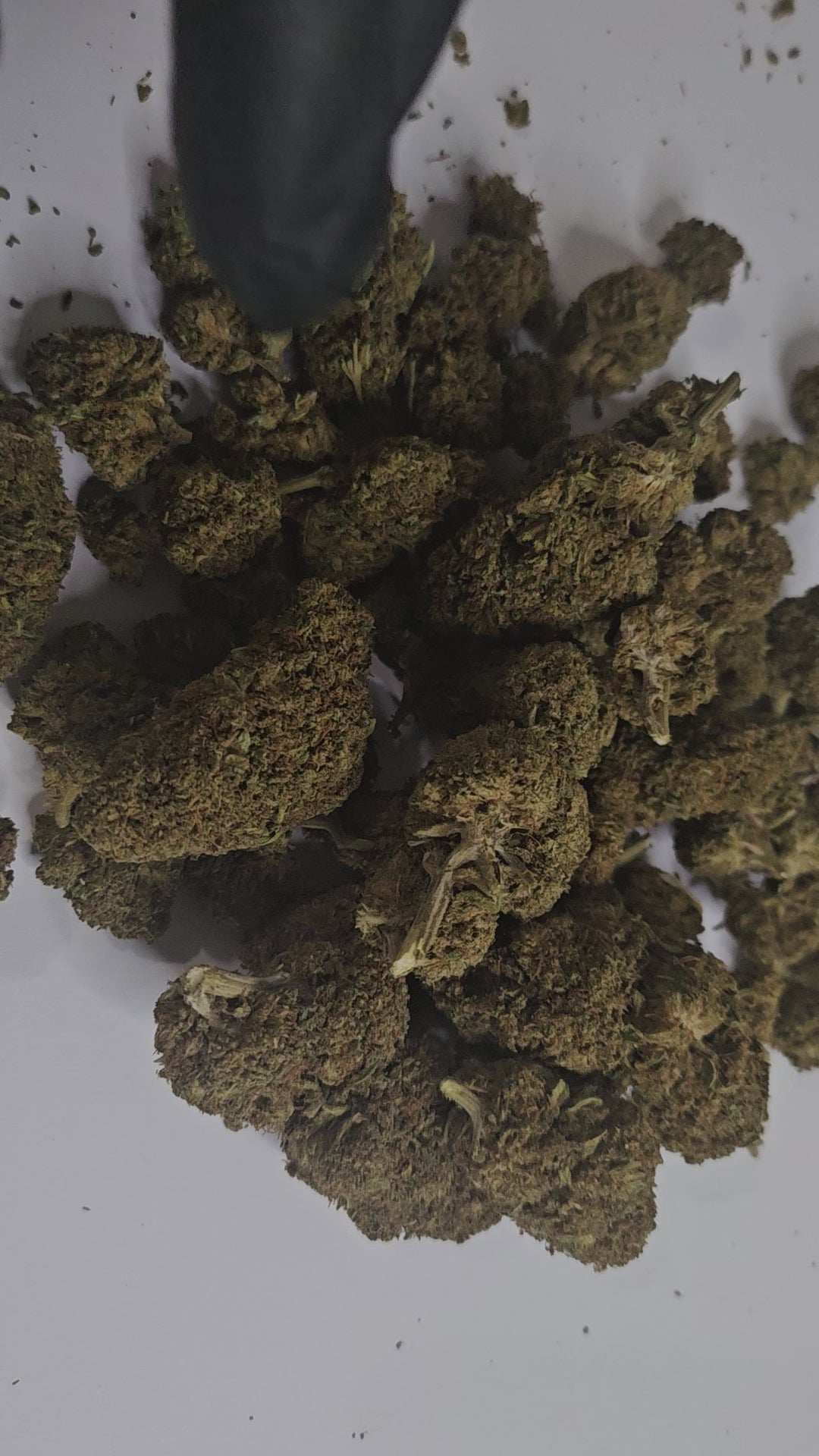 La Berry Haze est une fleur de CBD à l’arôme fruité et sucré, dominé par des notes de fruits rouges et de baies sauvages. Elle offre un effet équilibré et énergisant, idéal pour se détendre sans somnolence.