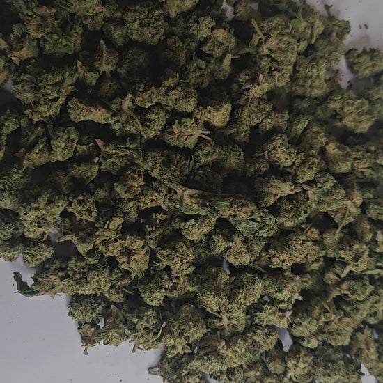 La Candy Kush Small Bud est une fleur de CBD aux petits bourgeons compacts, conservant toute la richesse aromatique de la variété originale. Elle développe des notes sucrées et fruitées, rappelant les bonbons, avec une touche douce et gourmande.