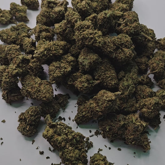 La Raspberry est une fleur de CBD au caractère affirmé, reconnue pour ses arômes intensément fruités, dominés par des notes de framboise mûre et légèrement sucrées. Son profil aromatique puissant et sa richesse en saveurs en font une fleur très appréciée des amateurs avertis.