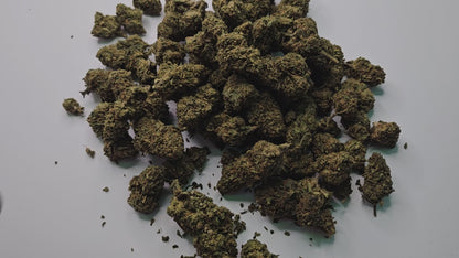 La Raspberry est une fleur de CBD au caractère affirmé, reconnue pour ses arômes intensément fruités, dominés par des notes de framboise mûre et légèrement sucrées. Son profil aromatique puissant et sa richesse en saveurs en font une fleur très appréciée des amateurs avertis.