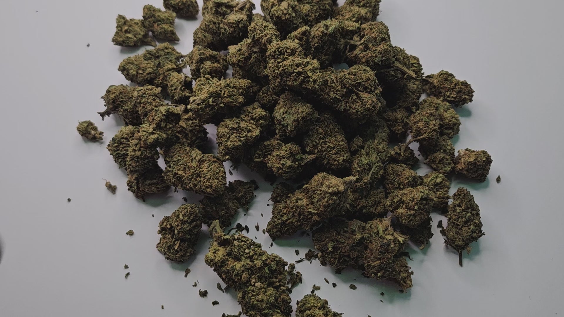 La Raspberry est une fleur de CBD au caractère affirmé, reconnue pour ses arômes intensément fruités, dominés par des notes de framboise mûre et légèrement sucrées. Son profil aromatique puissant et sa richesse en saveurs en font une fleur très appréciée des amateurs avertis.