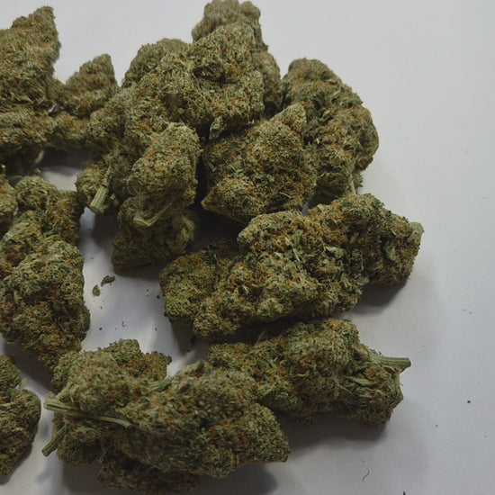 Craquez pour la Cookie Cream, une fleur CBD hybride à dominante indica aux arômes irrésistiblement gourmands. Ses buds denses et généreusement givrés de trichomes dégagent des effluves de biscuit chaud, de vanille et de crème douce qui séduisent dès la première inspiration. Une variété d’exception pour les amateurs de CBD à la recherche d’une expérience sensorielle unique.