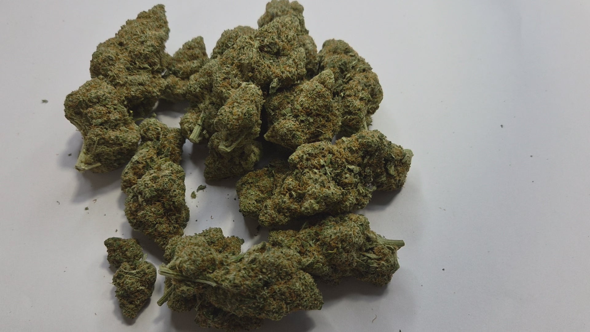 Craquez pour la Cookie Cream, une fleur CBD hybride à dominante indica aux arômes irrésistiblement gourmands. Ses buds denses et généreusement givrés de trichomes dégagent des effluves de biscuit chaud, de vanille et de crème douce qui séduisent dès la première inspiration. Une variété d’exception pour les amateurs de CBD à la recherche d’une expérience sensorielle unique.