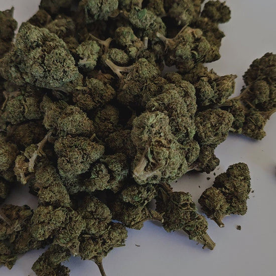 Découvrez la fleur de CBD Harlequin, une variété équilibrée et généreuse aux arômes doux et boisés. Son effet est intense, tout en restant maîtrisé — légèrement moins puissant que la Tropical Haze, mais comparable à la Candy Kush Intense, elle offre un parfait compromis entre relaxation profonde et clarté d’esprit.