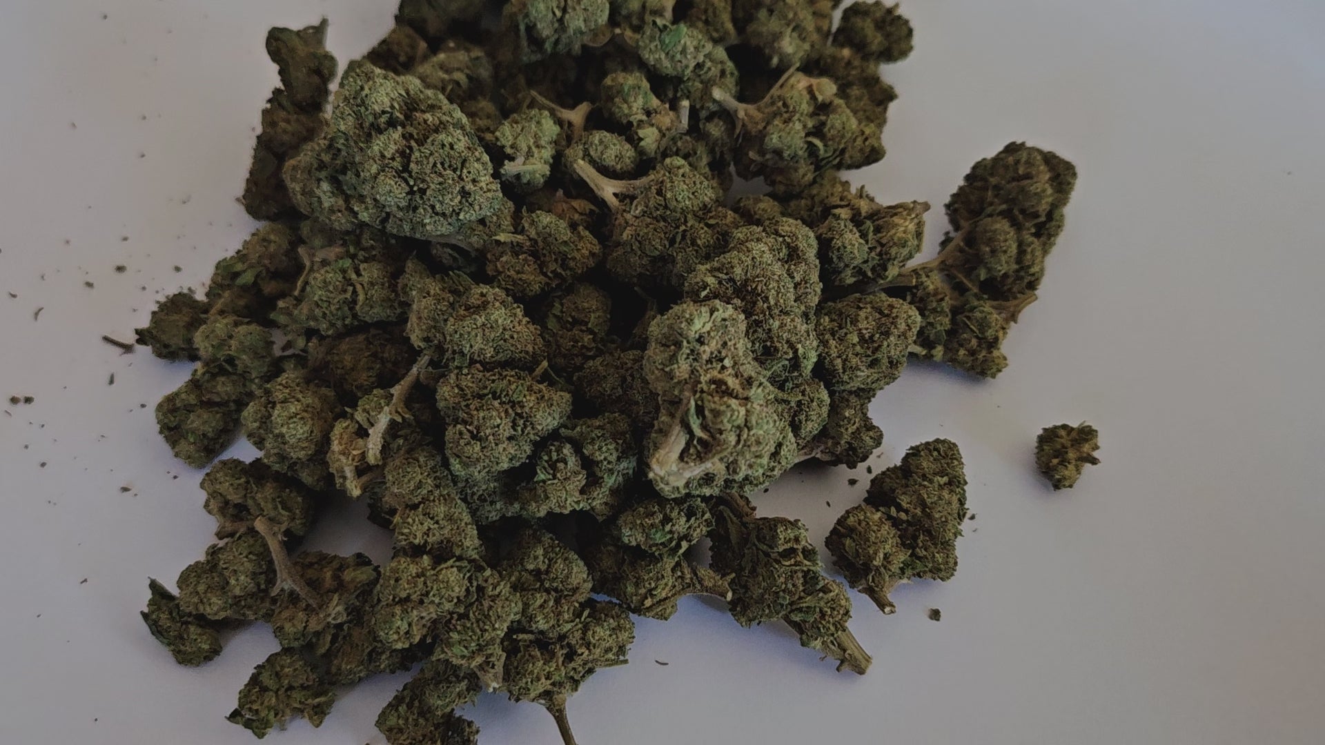 Découvrez la fleur de CBD Harlequin, une variété équilibrée et généreuse aux arômes doux et boisés. Son effet est intense, tout en restant maîtrisé — légèrement moins puissant que la Tropical Haze, mais comparable à la Candy Kush Intense, elle offre un parfait compromis entre relaxation profonde et clarté d’esprit.