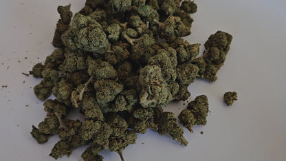 Découvrez la fleur de CBD Harlequin, une variété équilibrée et généreuse aux arômes doux et boisés. Son effet est intense, tout en restant maîtrisé — légèrement moins puissant que la Tropical Haze, mais comparable à la Candy Kush Intense, elle offre un parfait compromis entre relaxation profonde et clarté d’esprit.