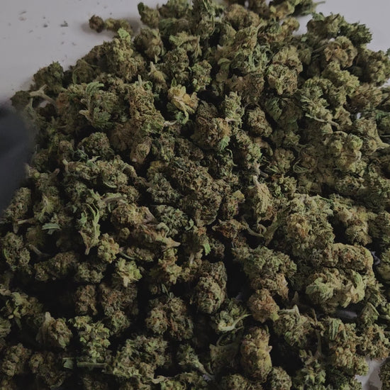 Cette Critical small bud offre des arômes boisés, terreux et légèrement épicés. Son goût reste fidèle à la Critical classique : puissant, naturel et agréable.