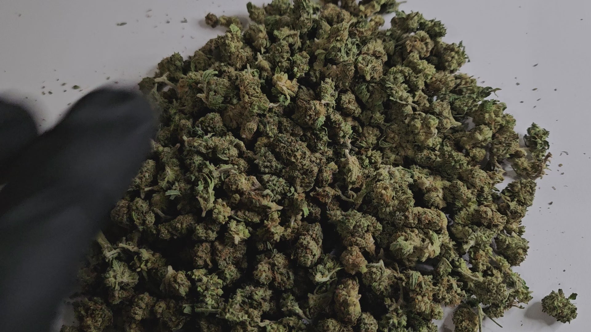 Cette Critical small bud offre des arômes boisés, terreux et légèrement épicés. Son goût reste fidèle à la Critical classique : puissant, naturel et agréable.