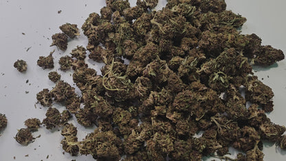 Blueberry Meringue Greenhouse est une fleur de CBD premium cultivée en serre, offrant une expérience aromatique exceptionnelle.
Cette variété se distingue par ses notes sucrées de myrtille et de meringue délicate, créant un profil terpénique gourmand et raffiné. Cultivée avec soin en greenhouse, elle combine la puissance de la culture outdoor avec la qualité contrôlée de l'indoor.