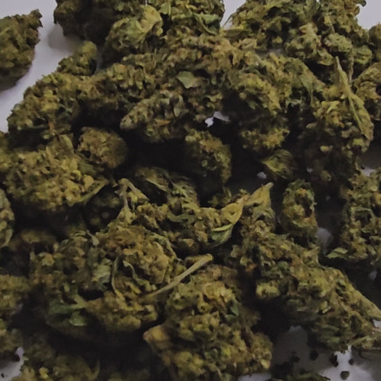La Harlequin CBD se distingue par ses saveurs équilibrées, à la fois douces et boisées, avec une légère touche fruitée. Réputée pour son profil riche en cannabinoïdes, elle délivre des effets intenses qui séduiront les connaisseurs en quête d’une expérience marquée. 