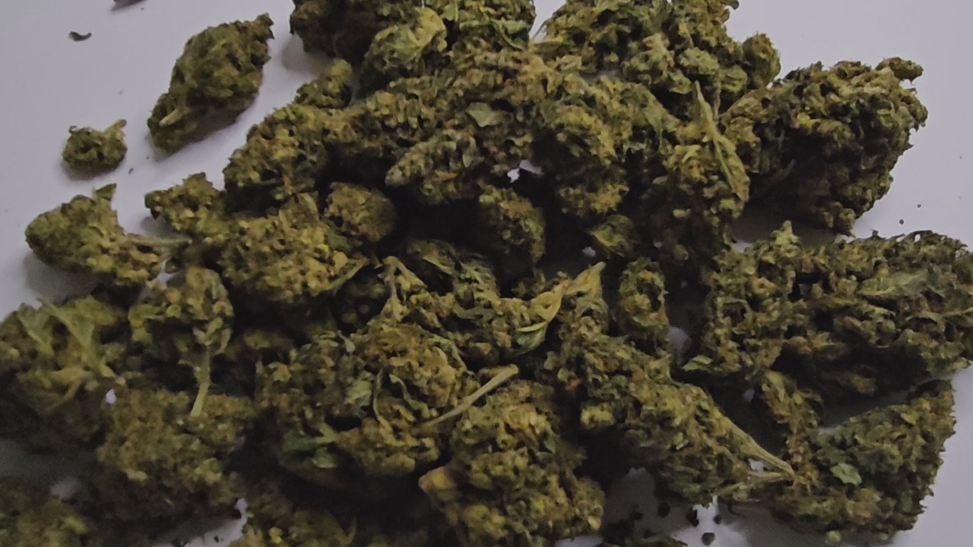 La Harlequin CBD se distingue par ses saveurs équilibrées, à la fois douces et boisées, avec une légère touche fruitée. Réputée pour son profil riche en cannabinoïdes, elle délivre des effets intenses qui séduiront les connaisseurs en quête d’une expérience marquée. 
