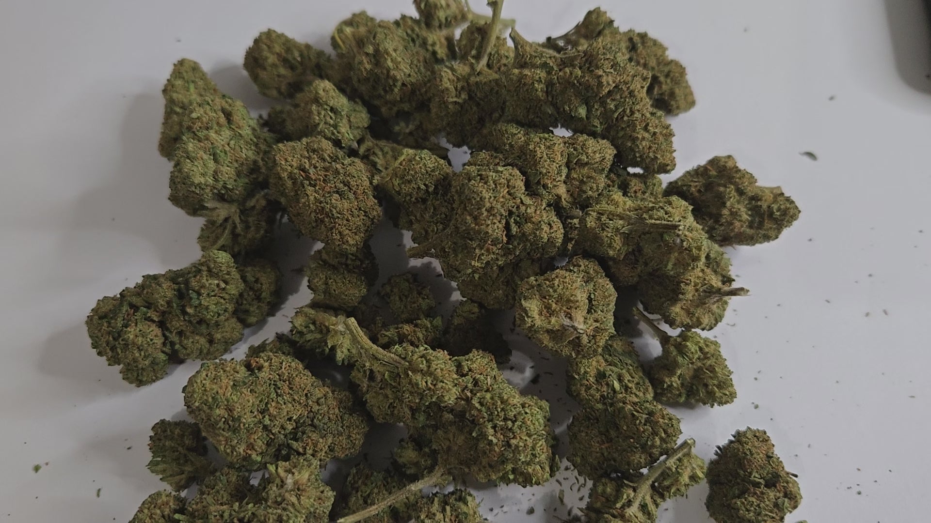 La Blueberry 2.0 est une fleur au parfum fruité et sucré de myrtille, avec des notes légèrement terreuses en fond. Ses têtes sont compactes, résineuses et dégagent une odeur gourmande très reconnaissable.