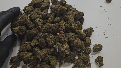 Fleurs CBD SAPHIRE KUSH THC<0.3%