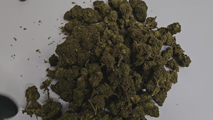 Découvrez la fleur de CBD Gorilla Intense, reconnue pour ses effets puissants et son profil aromatique unique. Avec ses notes boisées, terreuses et subtilement fruitées, cette variété offre une expérience sensorielle profonde et intense.