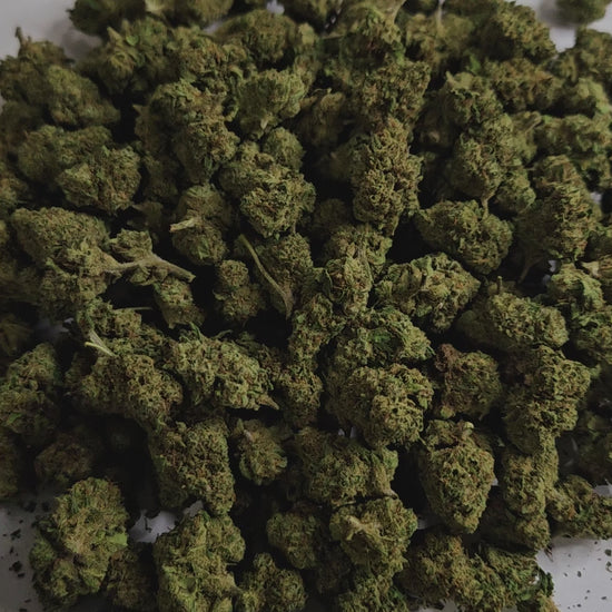 Mango CBD Small Bud séduit par ses petites têtes denses aux arômes exotiques de mangue mûre, sucrés et légèrement acidulés. Elle procure une détente douce et agréable, idéale pour se relaxer à tout moment de la journée sans effet de lourdeur.