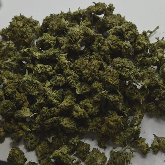 Découvrez la Sour Lifter Small Bud, une fleur CBD sativa aux arômes intenses de citron, d'agrumes et de terre. Ses petits buds denses et généreux en résine offrent une expérience aromatique riche, idéale pour les amateurs de CBD de qualité.
