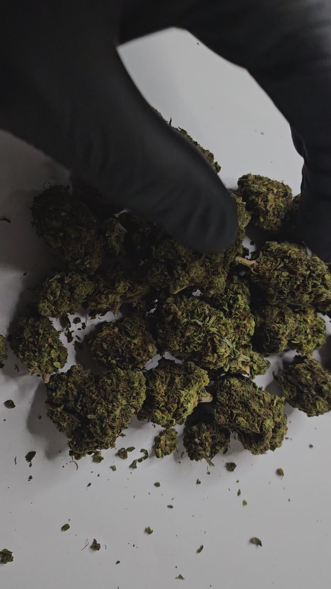 La Cali Fruit est une fleur de CBD au profil gourmand et exotique, caractérisée par des arômes fruités intenses mêlant notes tropicales et douceur sucrée.