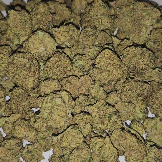 Gorilla Frutz se distingue par ses arômes intenses de fruits mûrs et de terre boisée. Son effet intense, relaxant et profond, parfait pour relâcher la pression après une longue journée. 