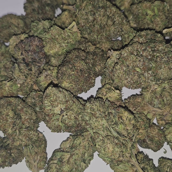 La Bubba Kush est une fleur de CBD d’exception, renommée pour son arôme intense, terreux et légèrement sucré, avec des touches de café et d’épices. Cultivée avec soin, elle dévoile des buds denses, résineux et d’un vert profond, parsemés de pistils orange vibrants.