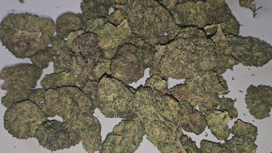 La Bubba Kush est une fleur de CBD d’exception, renommée pour son arôme intense, terreux et légèrement sucré, avec des touches de café et d’épices. Cultivée avec soin, elle dévoile des buds denses, résineux et d’un vert profond, parsemés de pistils orange vibrants.