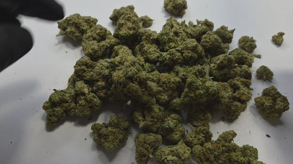 Fleurs CBD AMNESIA JSH THC<0.3%