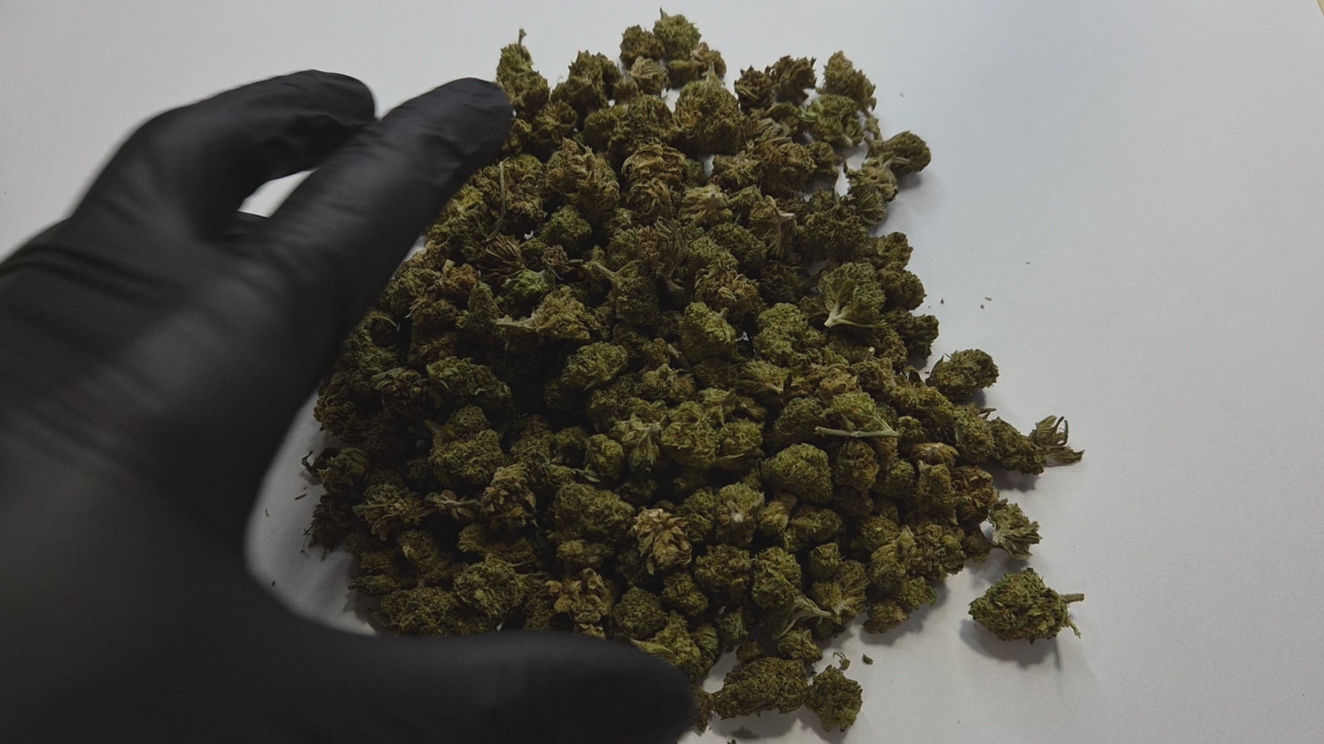 La fleur CBD WHITE WIDOW Small Bud séduit par ses arômes puissants et équilibrés, mêlant des notes boisées, légèrement épicées et terreuses. Issue de la célèbre génétique White Widow, cette version small bud offre un excellent rapport qualité/prix tout en conservant une belle richesse aromatique.
