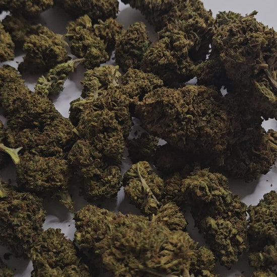 La Critical CBD est une fleur reconnue pour son goût puissant aux notes terreuses et légèrement citronnées. Sa richesse en cannabinoïdes lui confère des effets intenses, réservés aux amateurs avertis en quête d’une expérience marquée. 