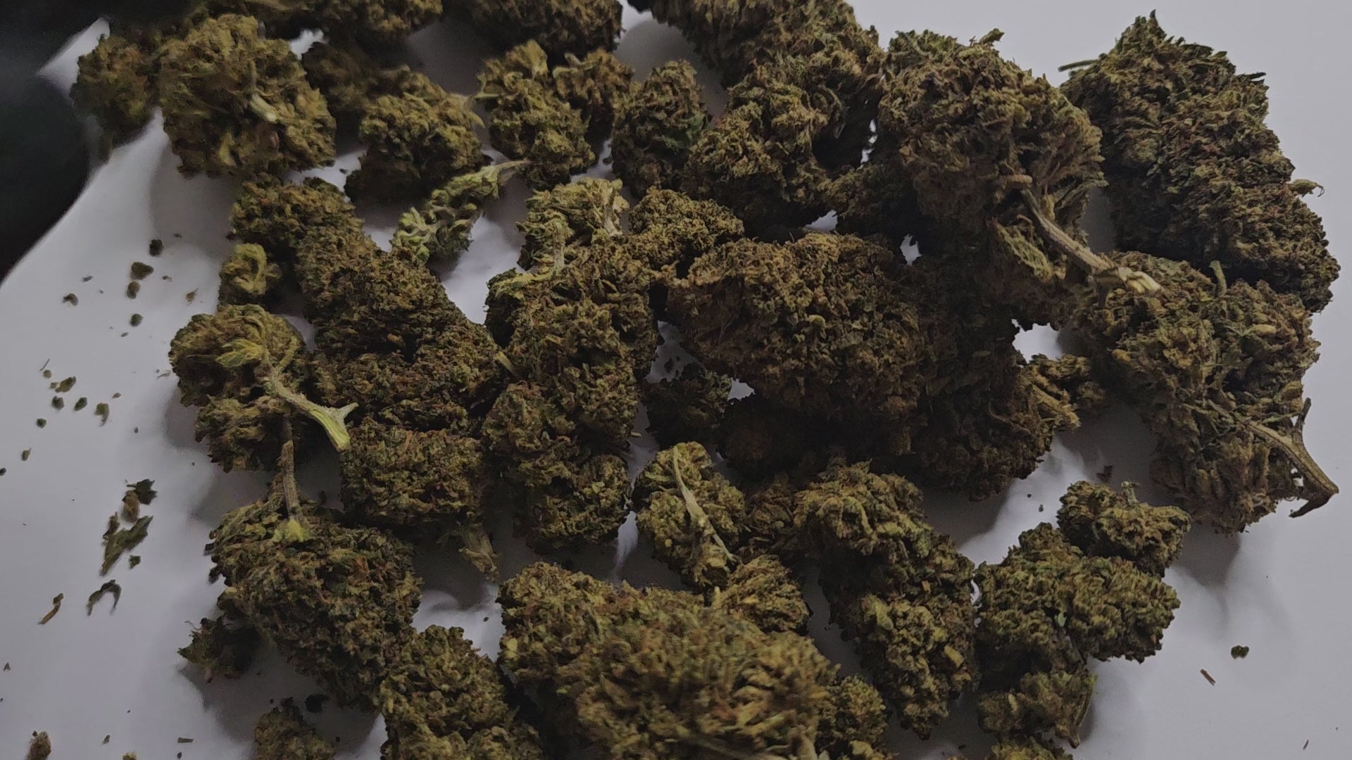 La Critical CBD est une fleur reconnue pour son goût puissant aux notes terreuses et légèrement citronnées. Sa richesse en cannabinoïdes lui confère des effets intenses, réservés aux amateurs avertis en quête d’une expérience marquée. 
