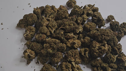 La Runtz CBD est une fleur d’exception importée des États-Unis, issue du croisement légendaire Zkittlez x Gelato. Elle séduit par son arôme gourmand et fruité, rappelant les bonbons et les agrumes, avec une touche sucrée typiquement californienne. Ses têtes sont denses, résineuses et d’une belle couleur vert clair parsemée de pistils orangés.