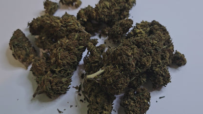 La Tangerine CBD séduit par ses arômes frais et fruités aux notes d’agrumes, rappelant la mandarine. Son profil riche en cannabinoïdes en fait une variété intense, idéale pour les amateurs confirmés qui recherchent une expérience puissante et savoureuse.