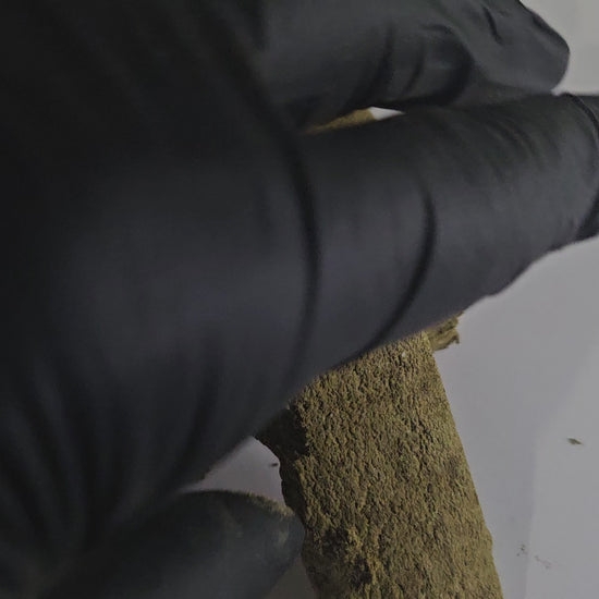 Découvrez la Jaune Mousseux Intense, une résine riche en saveurs et en puissance. Sa texture moelleuse et son arôme profond offrent une expérience intense et durable, réservée aux amateurs avertis.