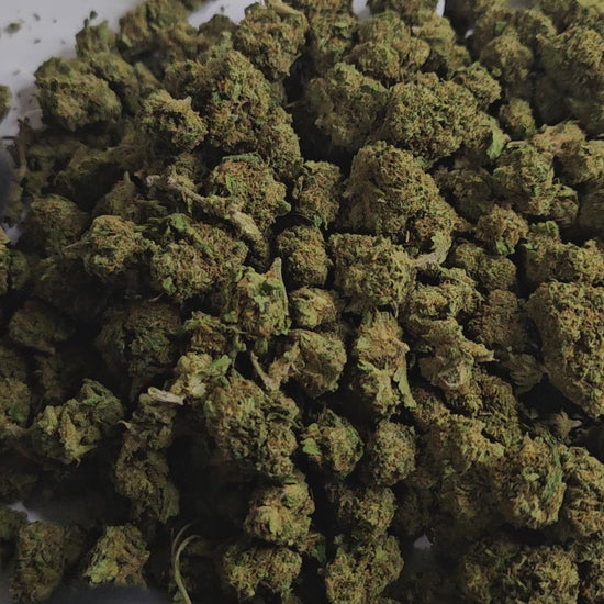 Alien OG CBD Small Bud se distingue par ses petites têtes compactes, riches en arômes citronnés, boisés et légèrement terreux. Elle offre une détente rapide et profonde, idéale pour se relaxer en fin de journée tout en gardant l’esprit clair. 