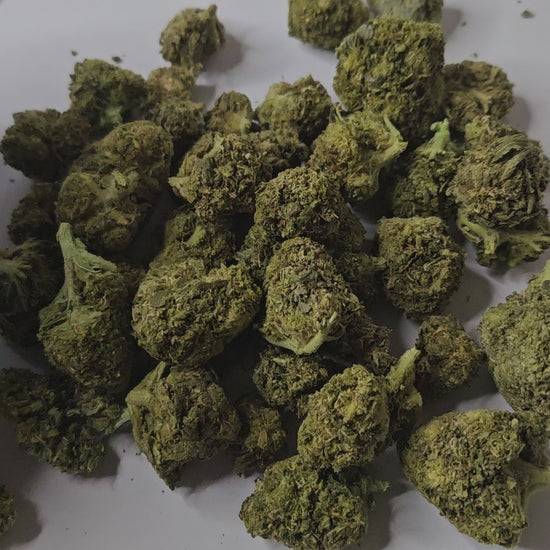 L’Amnesia Cryo est une fleur de CBD premium reconnue pour son profil aromatique puissant et très frais. Grâce au procédé cryo, les terpènes sont parfaitement préservés, offrant des notes citronnées, boisées et légèrement épicées particulièrement intenses.