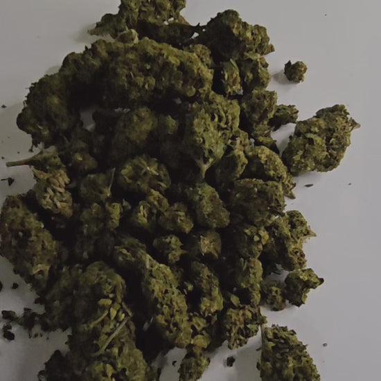 La Orange Bud est une fleur de CBD aux arômes puissants d’orange et d’agrumes, qui préserve au maximum ses terpènes et cannabinoïdes.