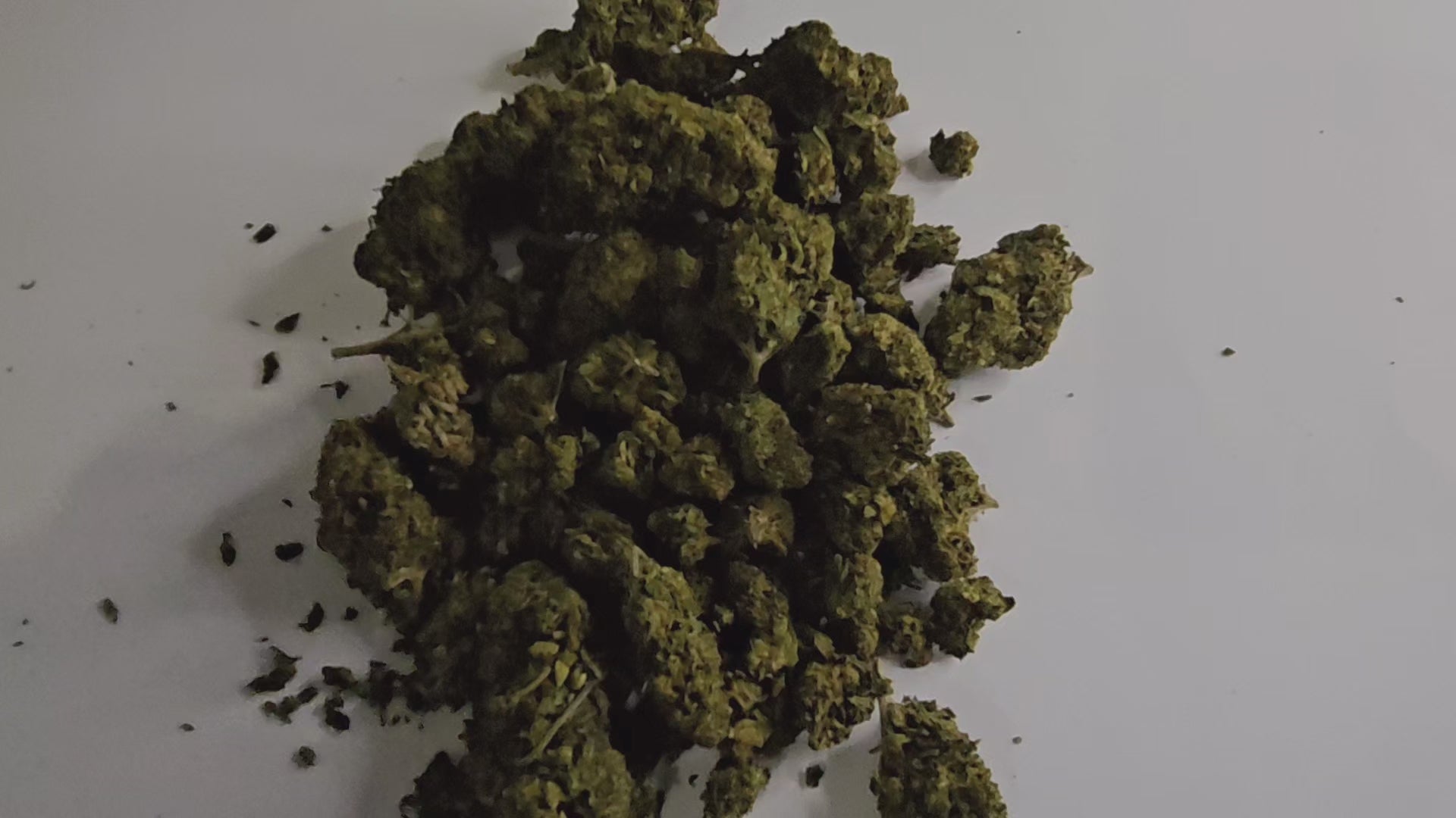 La Orange Bud est une fleur de CBD aux arômes puissants d’orange et d’agrumes, qui préserve au maximum ses terpènes et cannabinoïdes.