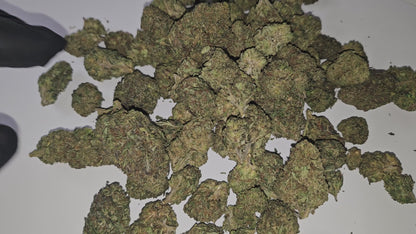 La Royal OG est une fleur de CBD premium, reconnue pour son profil terpénique complexe, oscillant entre notes d’agrumes, de pin et d’encens. Ses têtes impeccablement formées et couvertes de trichomes témoignent d’un processus de culture haut de gamme, garantissant une qualité supérieure.