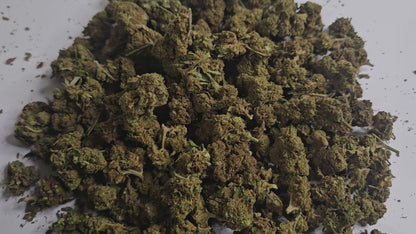 La légendaire OG Kush revient ici en version Small Bud, avec ses petites têtes compactes mais tout aussi savoureuses. Son parfum unique mêle des notes terreuses, boisées et légèrement citronnées qui en font une variété incontournable.